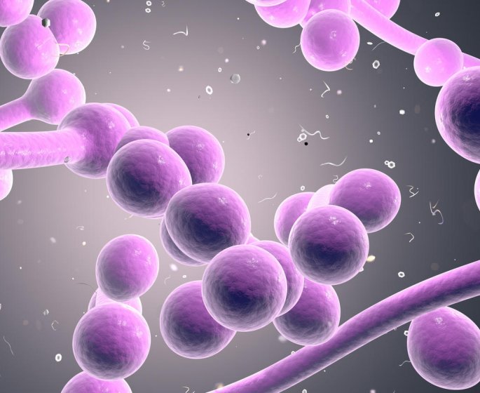 Mycose a Candida albicans : que faire ?