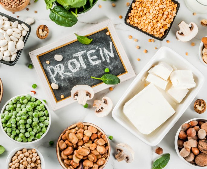 Pourquoi les regimes proteines font maigrir ? 