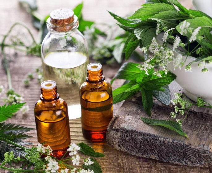 Comment retrouver le sommeil avec l-aide des plantes ?