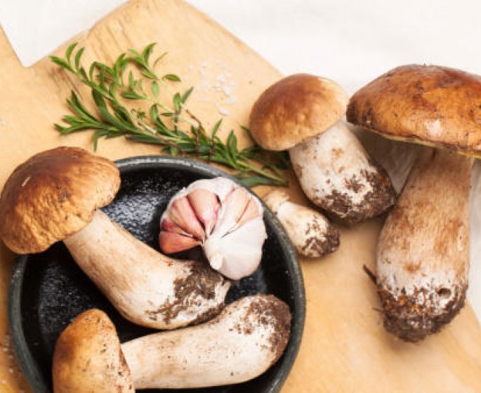 Aller aux champignons ? Pour le plaisir mais avec precautions...