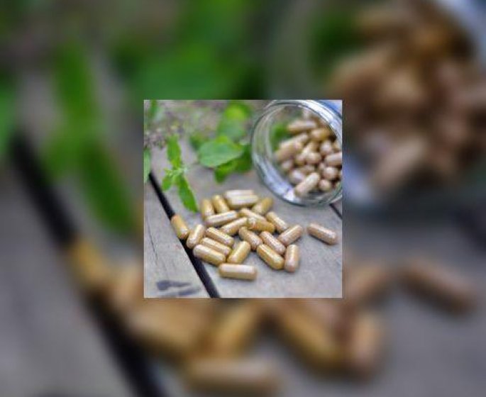 La phytotherapie au secours des maux du quotidien