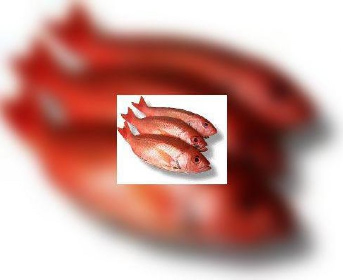 Le poisson au secours du coeur