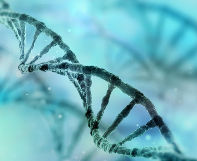 Le fabuleux potentiel des cellules souches et des biotherapies