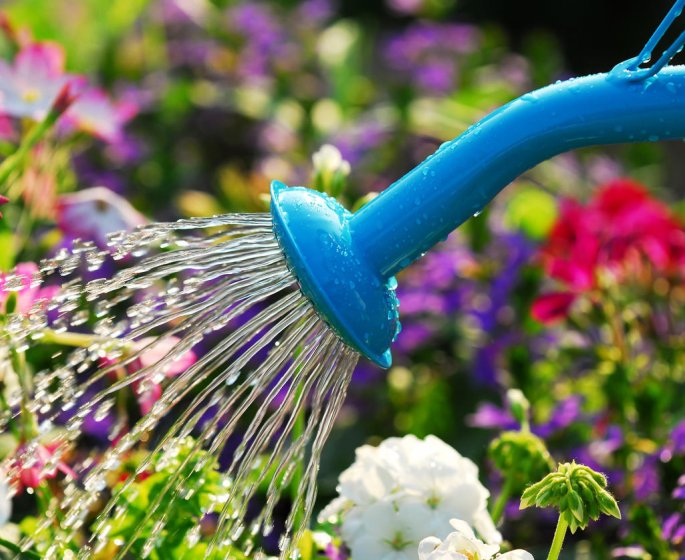 Le jardin, ce n-est pas toujours la sante !
