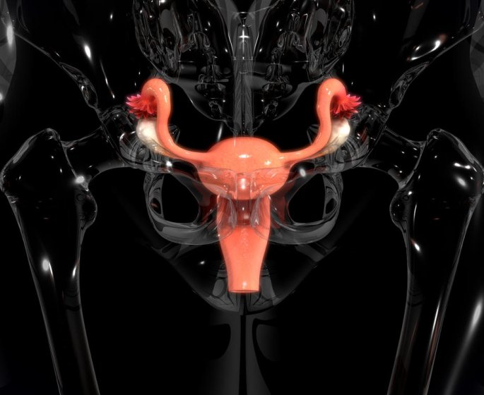Quelle fertilite apres une grossesse extra-uterine ?