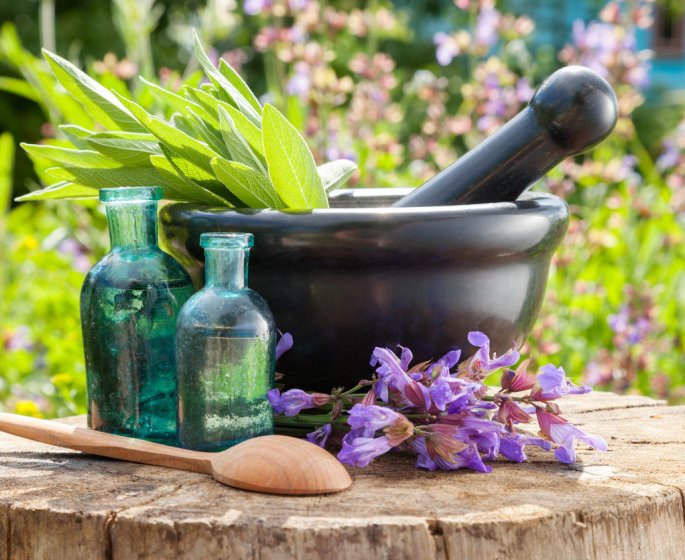 Rhume, sinusites, grippe ... se soigner naturellement avec les plantes