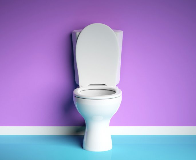 Quelles maladies peut-on attraper aux toilettes ?