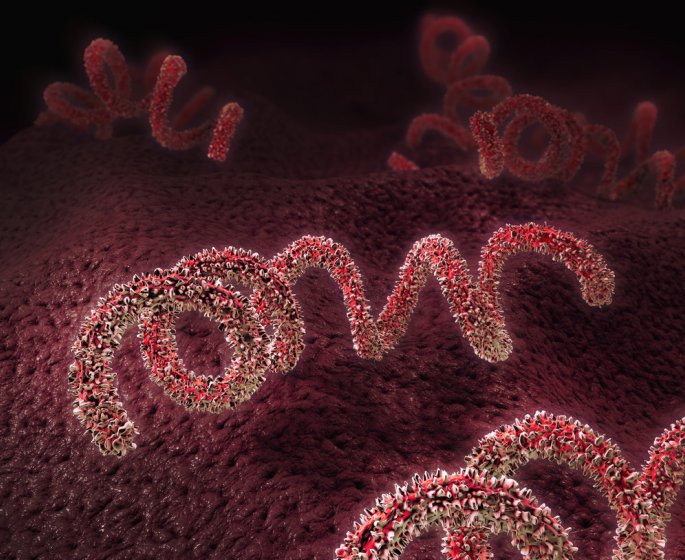 Le nombre de cas de syphilis chez les nouveau-nes explose