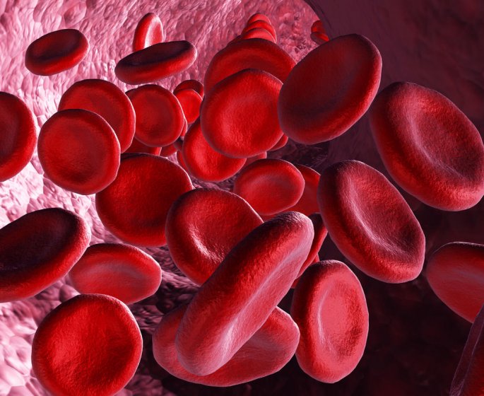 Cancer : pourquoi les cellules cancereuses se retrouvent dans le sang