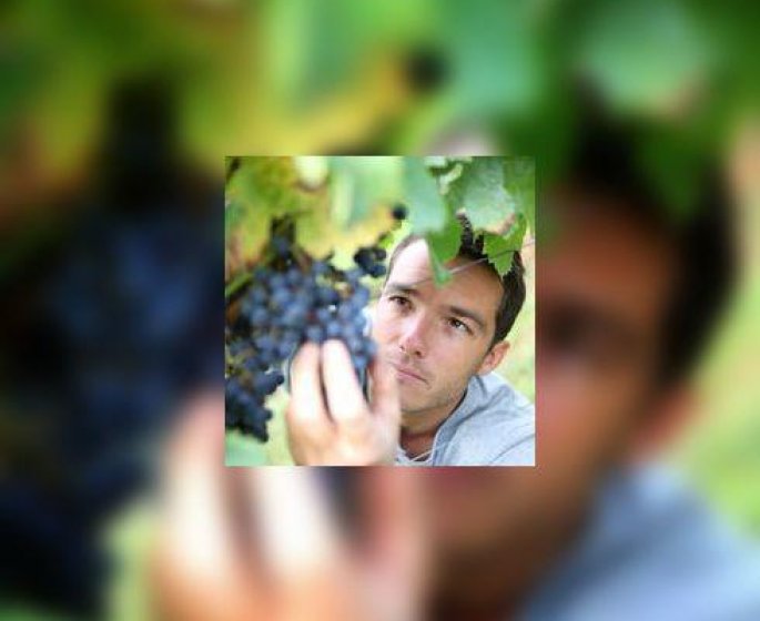 Viticulteurs et sante : aie !