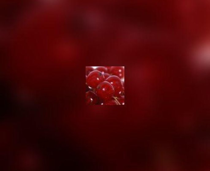 Le cranberry previent l-ulcere de l-estomac