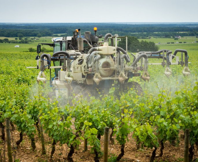 Habiter pres des vignes, facteur de risque de leucemie ? 