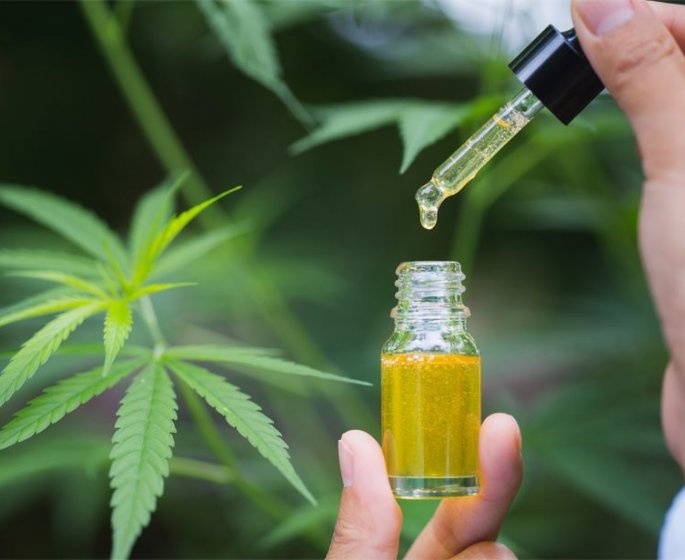 Le top 6 des huiles essentielles a avoir chez soi