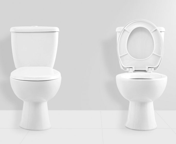 Hygiene pratique : faut-il avoir peur des WC ?