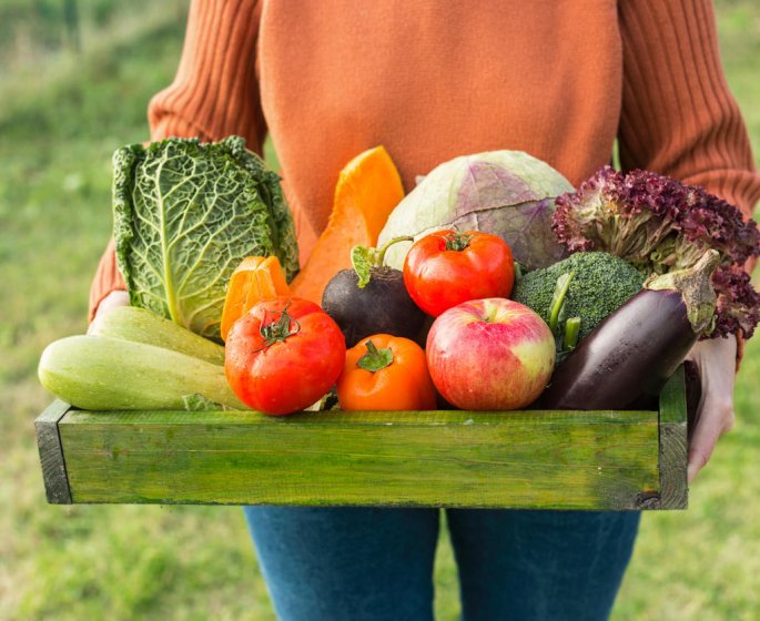 Pourquoi faut-il manger bio le plus souvent possible ?