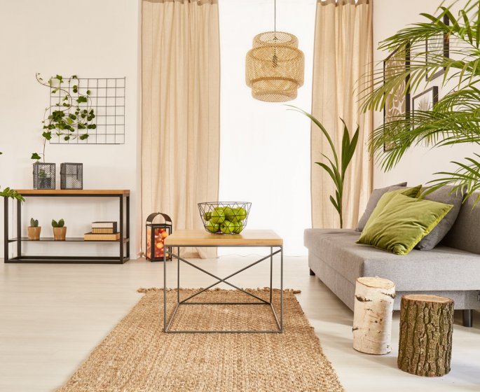 Une maison plus saine avec les huiles essentielles