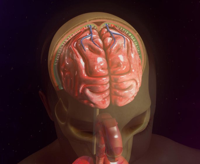 Meningite foudroyante : la definition