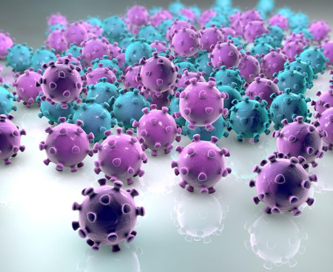 Herpes genital : que faire contre le virus HSV