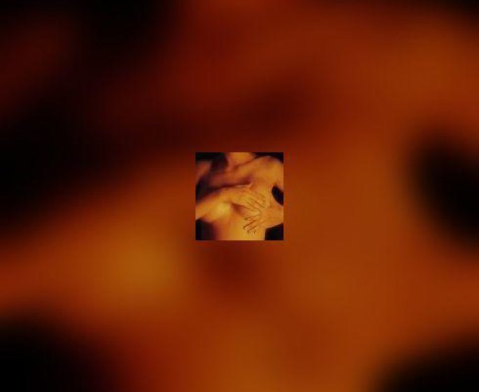Pour les femmes ayant une predisposition genetique au cancer du sein : bloquer la progesterone pourrait limiter les risques de developper le cancer