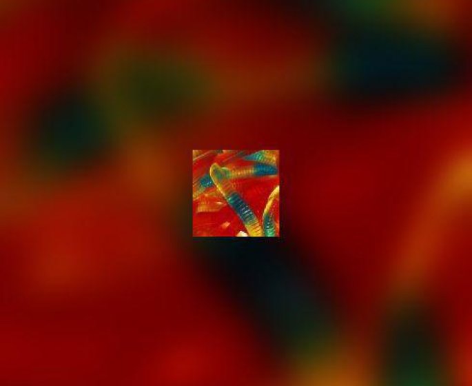 Bonbon impulsion et bonbon raison