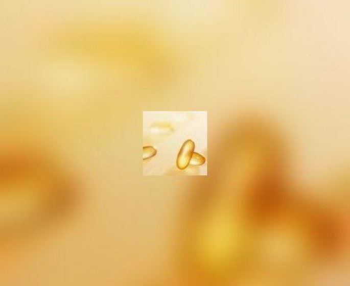 Omega-3 : le medicament universel ?