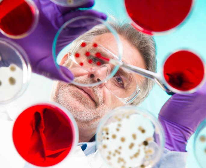 Hemophilie : une maladie rare, essentiellement masculine