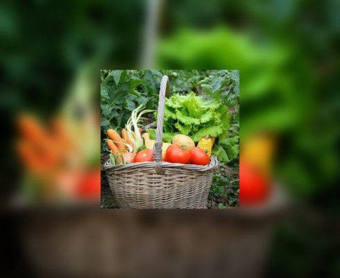 Comment manger de bons fruits et legumes toute l’annee ?