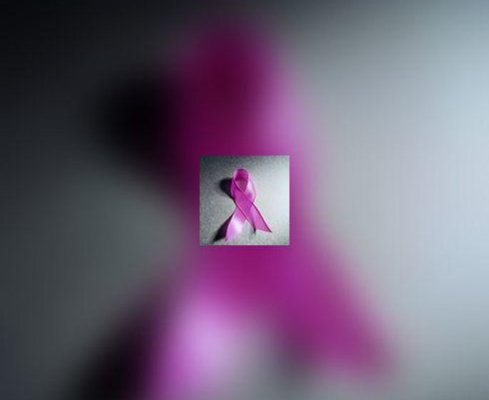 Tribu Cancer lance la 1ere campagne virtuelle de collecte de dons " Papillons de Noel "