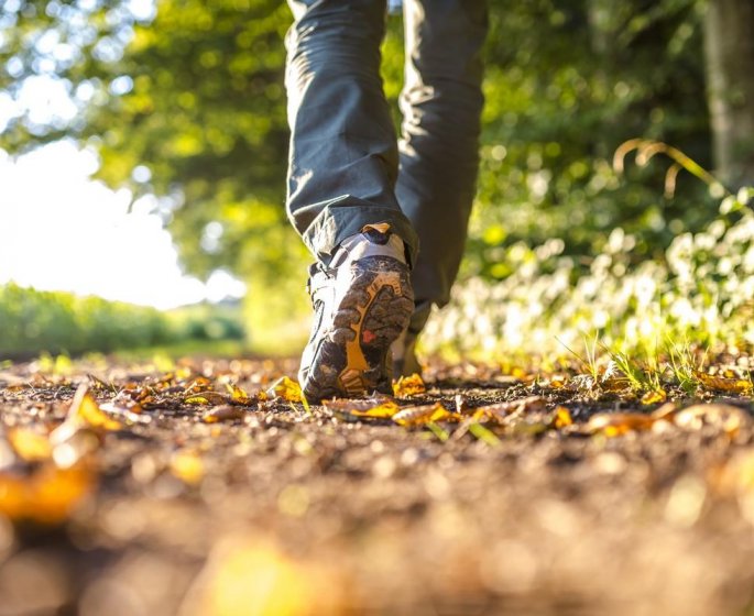 Les bienfaits de la marche