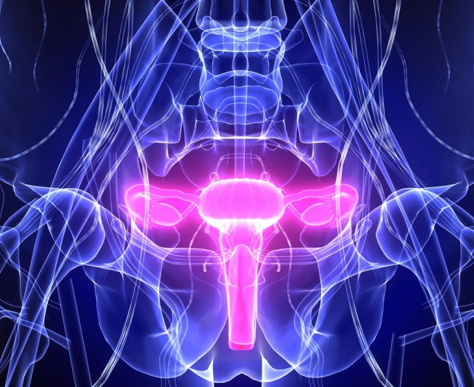 Sexualite femme : connaissez-vous la reponse a ces 10 questions ?