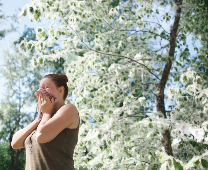 Alerte au pollen : le calendrier des allergies
