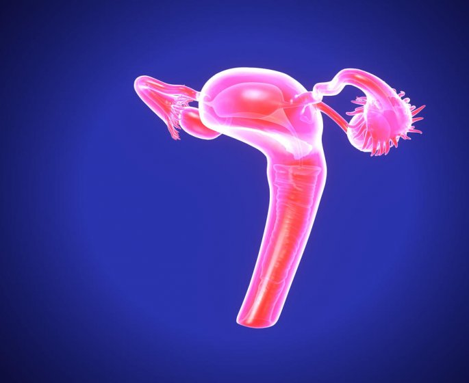 Conisation du col de l-uterus : les indications