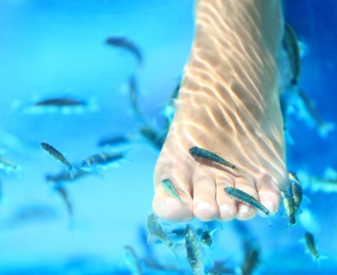 Fish pedicure : les risques pour la sante