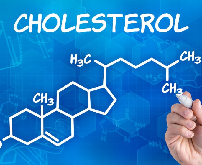 Cholesterol HDL ou LDL : qu-est-ce que cela signifie ?