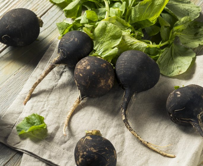 Alcool : les effets du radis noir sur le foie