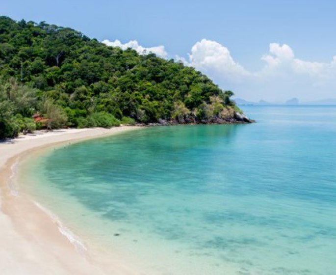Koh-Lanta : l’ancien candidat Nicolas Roy est decede d’un cancer