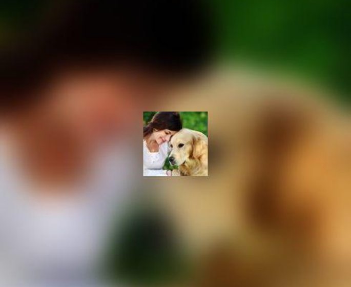 Sante animale : mieux comprendre son chien pour gerer ses mauvaises habitudes