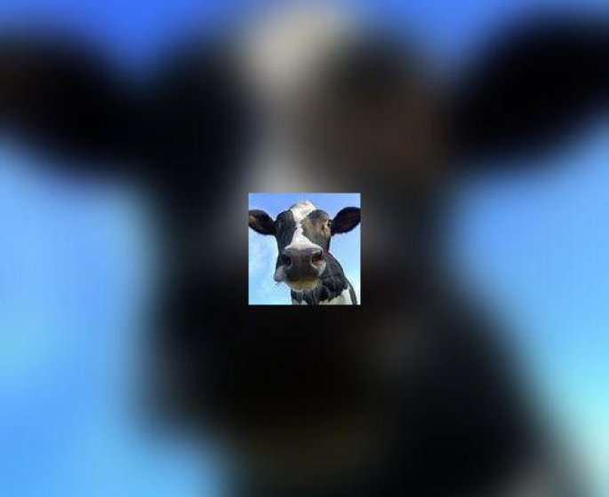 Entier, demi ecreme, ecreme, bio, enrichi... Quel lait choisir ?