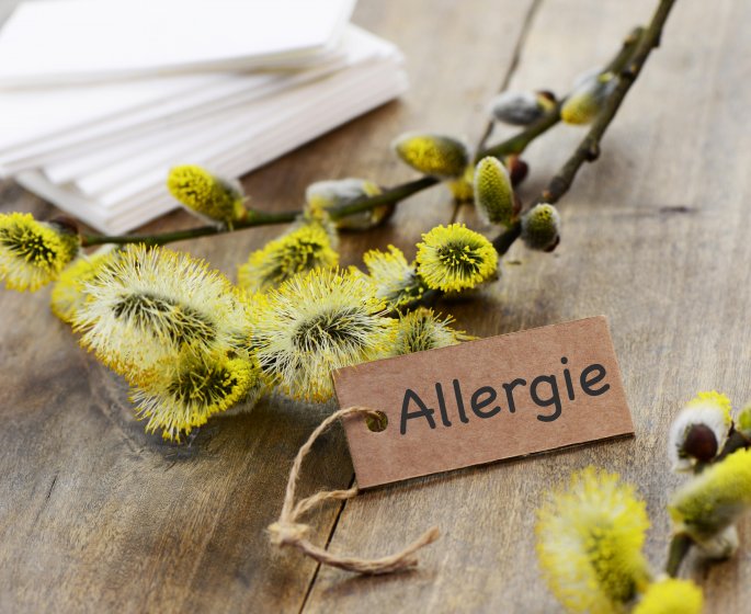 Allergie croisee : pollens et aliments