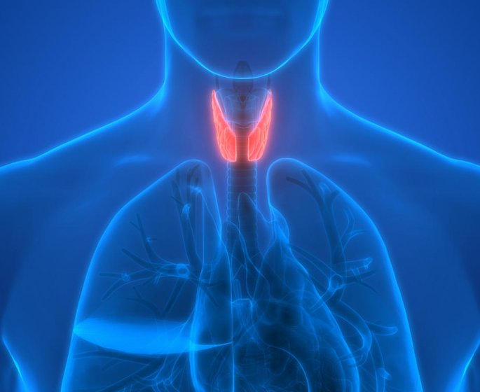 Du nodule thyroidien au cancer de la thyroide