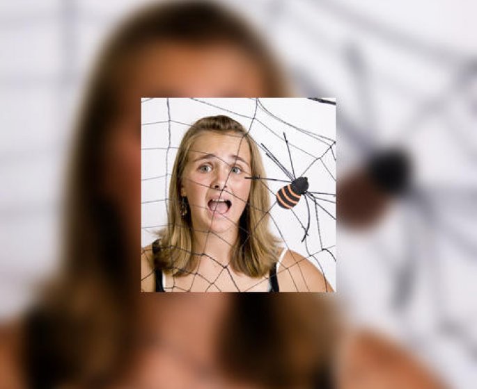 Peur des araignees : comment surmonter l-arachnophobie ?