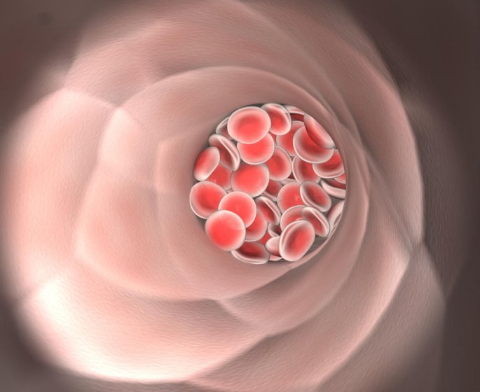 Quel est le taux ideal de cholesterol ?