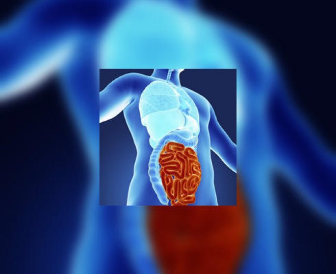 Hernie digestive : quels symptomes ?