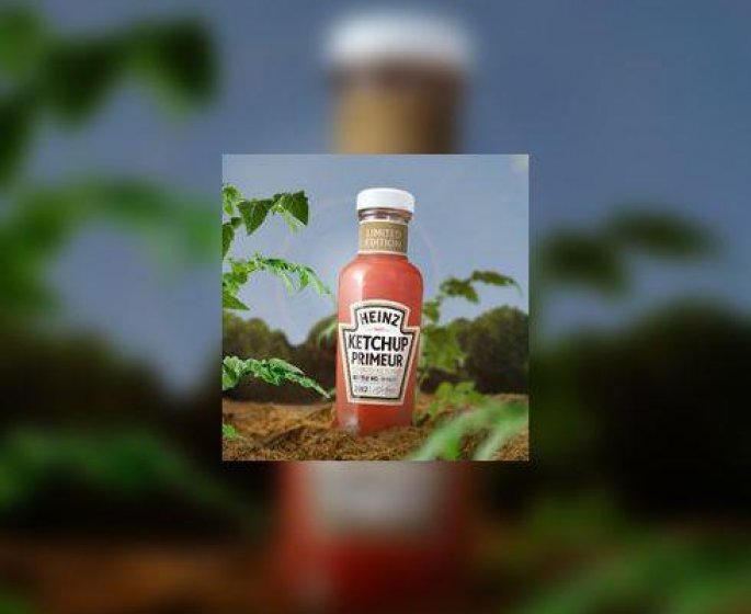 Le Ketchup primeur 2012 est arrive