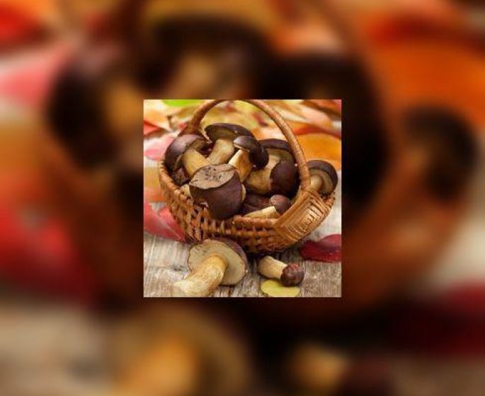 Comment faire secher les cepes ?