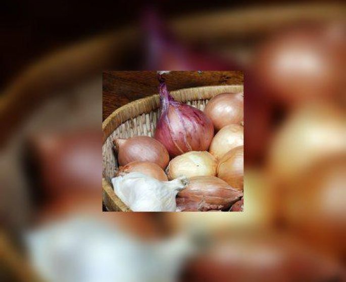 Ail, oignon, poireau, legumes anti-arthrose
