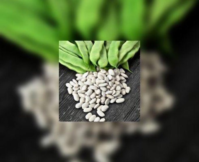 Haricots secs : comment bien les preparer ?