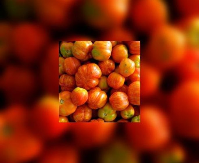 Connaissez vous la tomate ananas ?