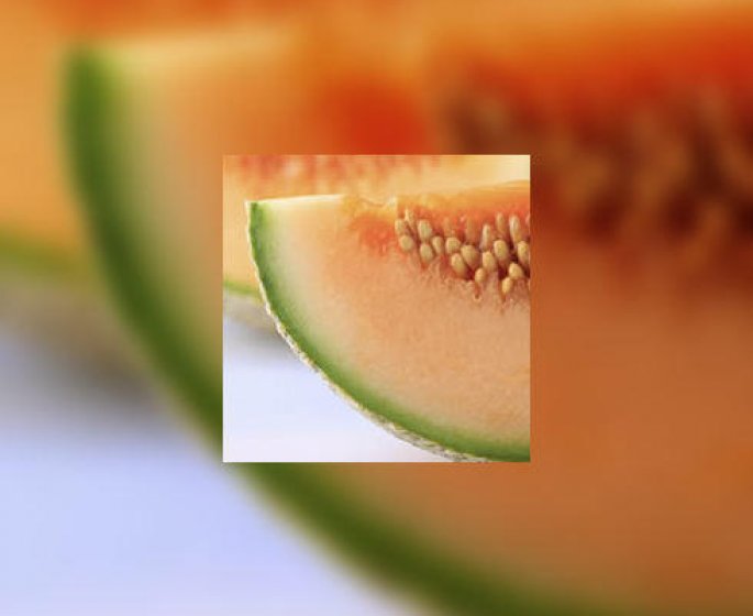 Le melon, je le sers comment ? avec quoi ?