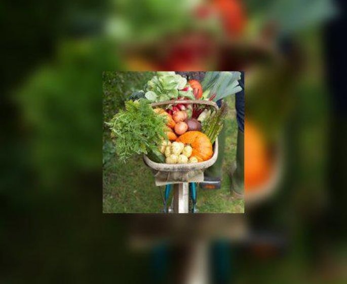 En direct des jardins de France